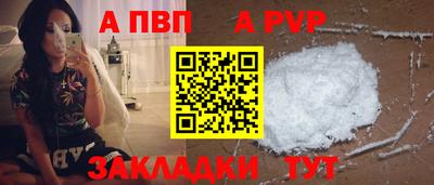 стаф Владимир