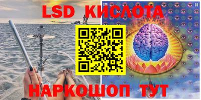 стаф Владимир