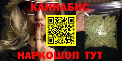 стаф Владимир