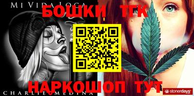 стаф Владимир