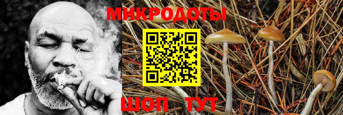 Галлюциногенные грибы Psilocybine cubensis Железноводск