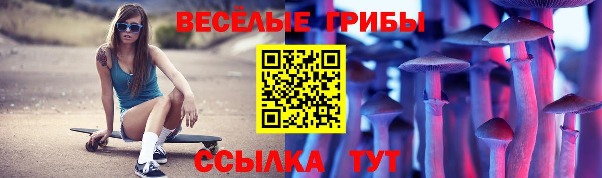 Галлюциногенные грибы MAGIC MUSHROOMS  где продают   Вход с VPN  Железноводск  Псилоцибиновые грибы ЛСД 